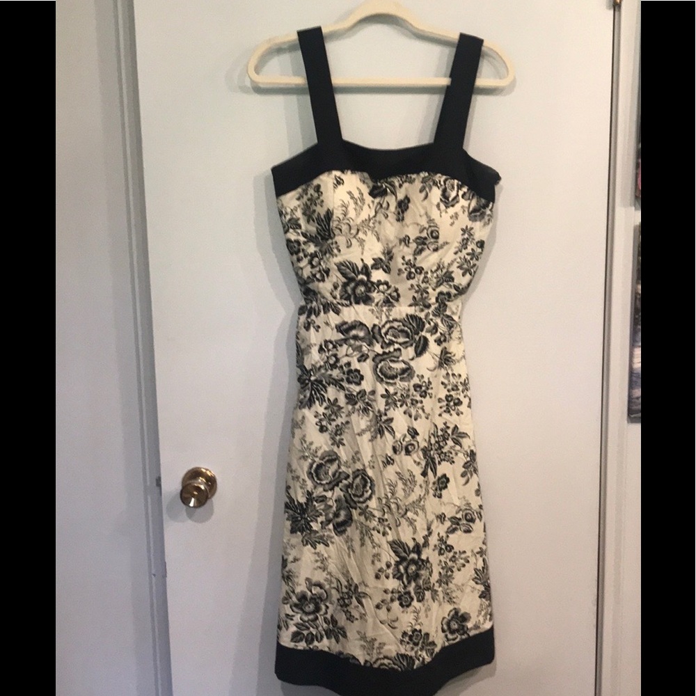 Dress Barn dress. Size 10. Classy. Black & Tan.